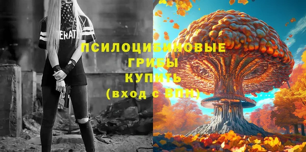 ешки Алексеевка