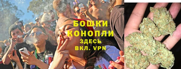 дурь Нея