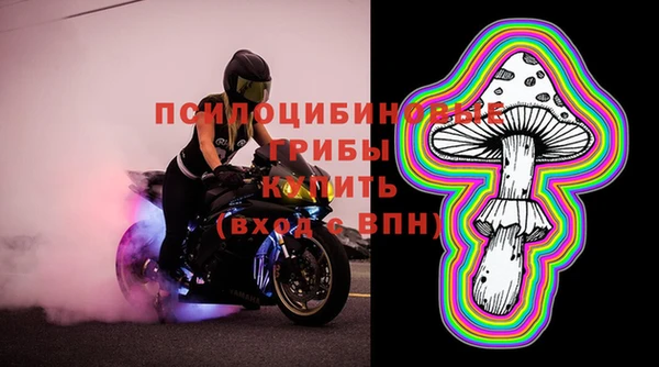 spice Алексин