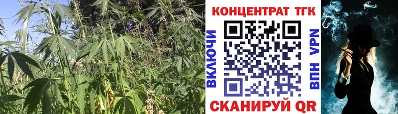 Дистиллят ТГК гашишное масло KRAKEN ссылка Томилино