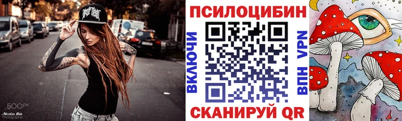 MEGA как войти  Томилино  Галлюциногенные грибы Cubensis 